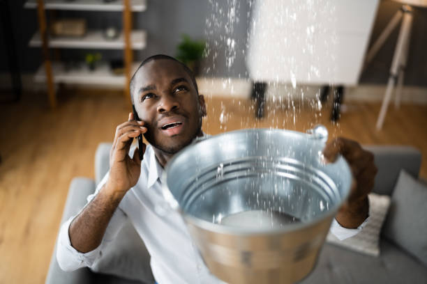 Best Local water damage restoration  in Byers, CO