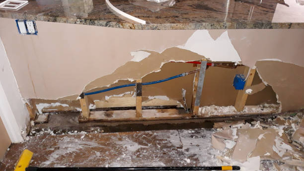 Best Professional water damage repair  in Byers, CO