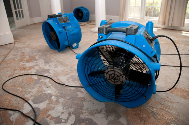 Best Water damage cleanup near me  in Byers, CO