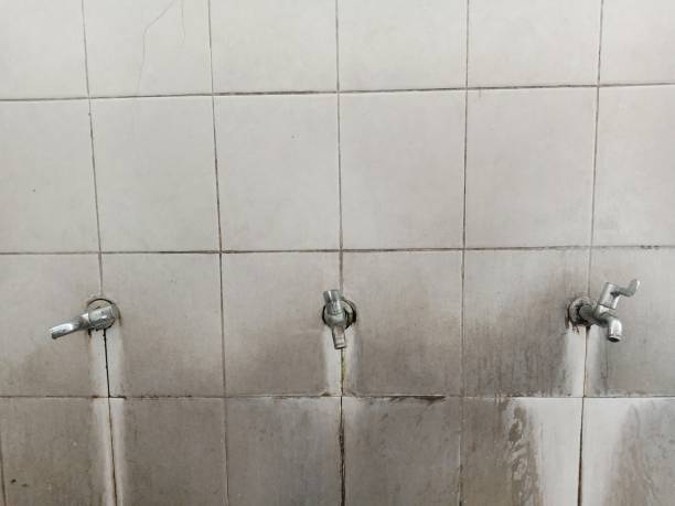 Best Water damage restoration company  in Byers, CO