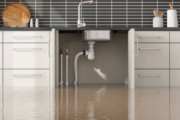 Best Water damage restoration cost  in Byers, CO