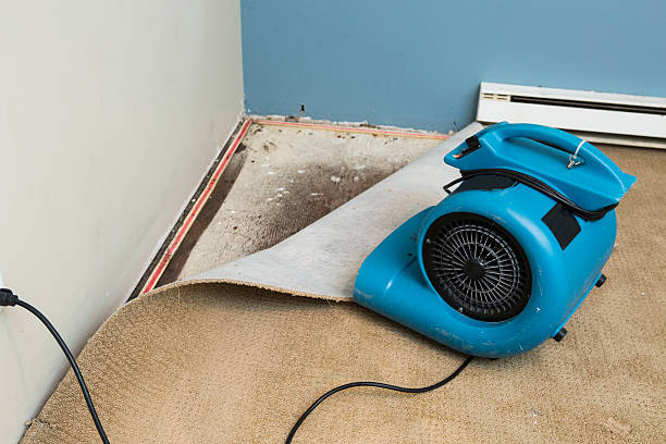 Best Water damage restoration near me  in Byers, CO
